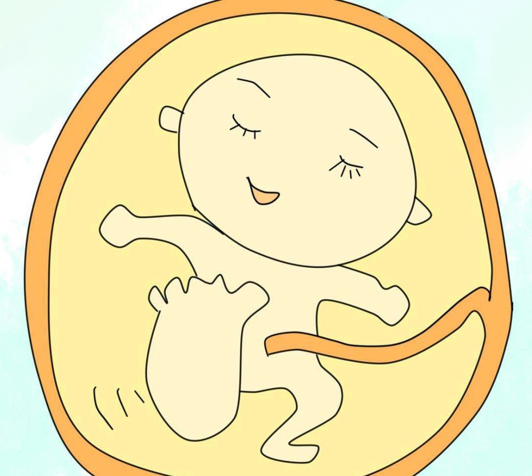 汉中华西妇产医院|你家胎宝都在忙什么？