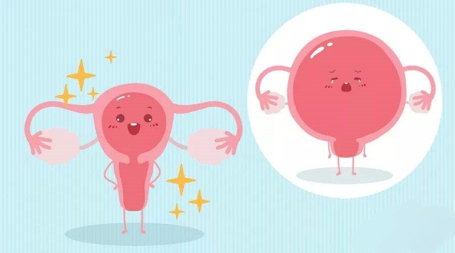 汉中华西妇产医院|女性产后如何保护子宫不下垂？