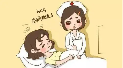 怀孕初期，孕酮和HCG之间的关系，一看就懂~