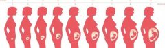 课程回顾华西孕妈课堂自然分娩+母乳喂养讲座