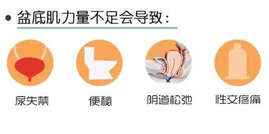 产后做盆底恢复有用吗？产后女性都需要做的盆