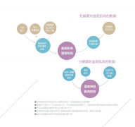 盆底功能关系到女性健康生活，盆底康复是什么