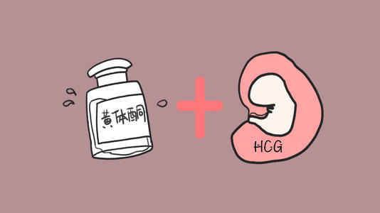 汉中华西妇产医院|怀孕多久检查孕酮值？