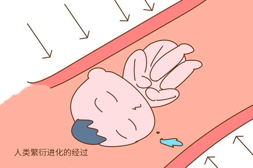 汉中华西妇产医院|顺产会阴撕裂伤对女性有怎样的伤害？应该如何预防？