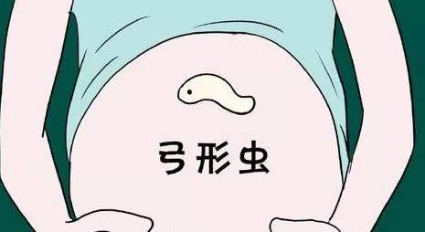 汉中华西妇产医院|怀孕还能养动物吗？会患弓形虫嘛？
